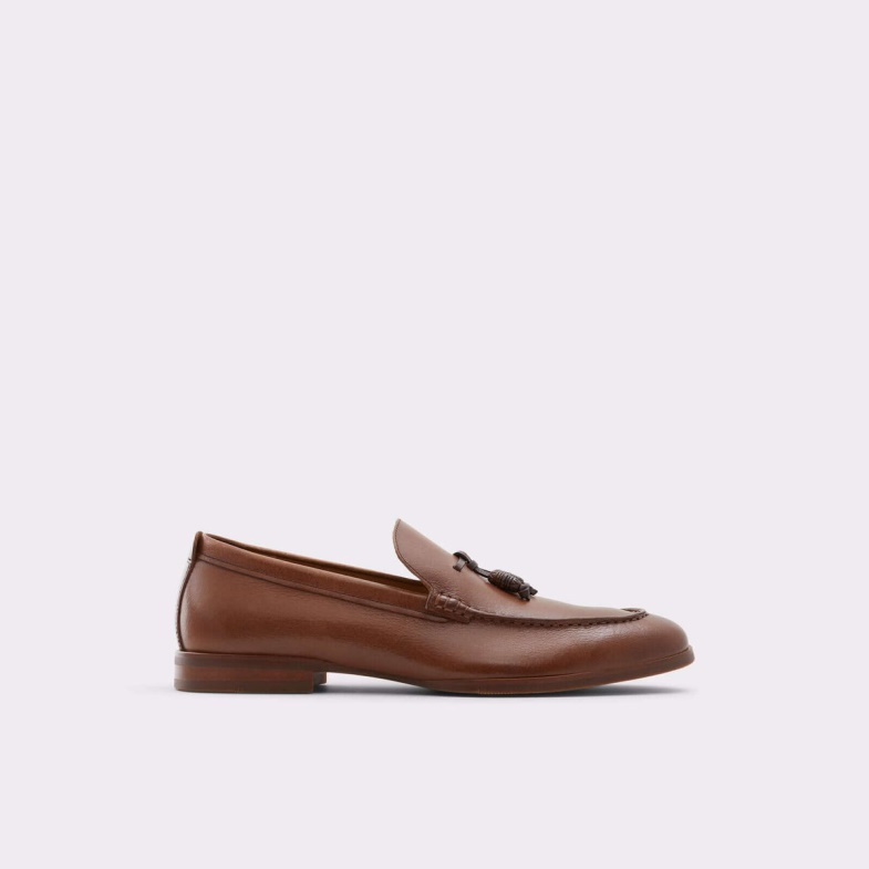 Aldo Fashion Brown Anasa