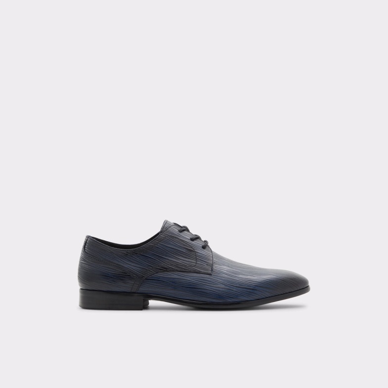 Delfordflex Lace Up Shoe Fashion Navy Aldo