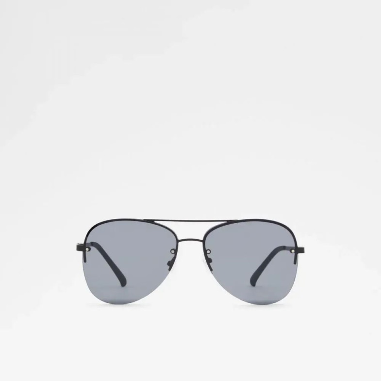 Aldo Fashion Ascaride Men's Accessories Sunglasses Black