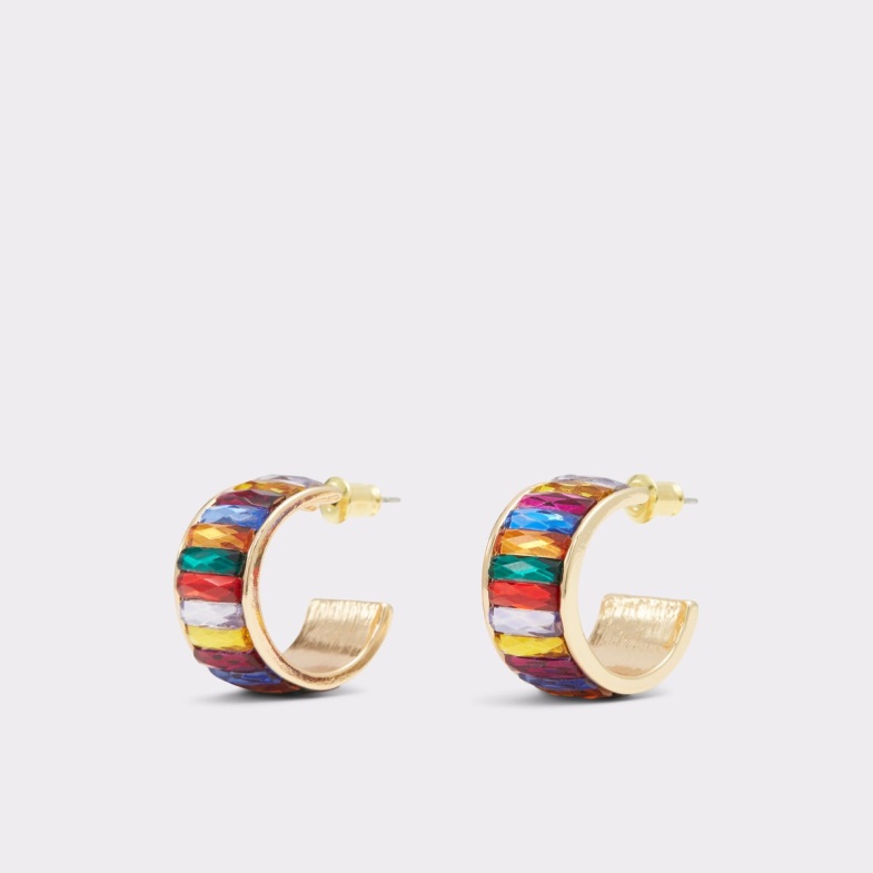 Last Chance Jessiewey Hoop Earrings Fashion Aldo Bright Multi