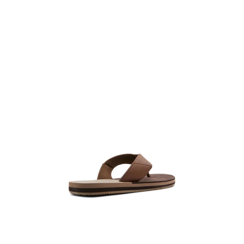 Brown Aldo Fashion Nerrasen