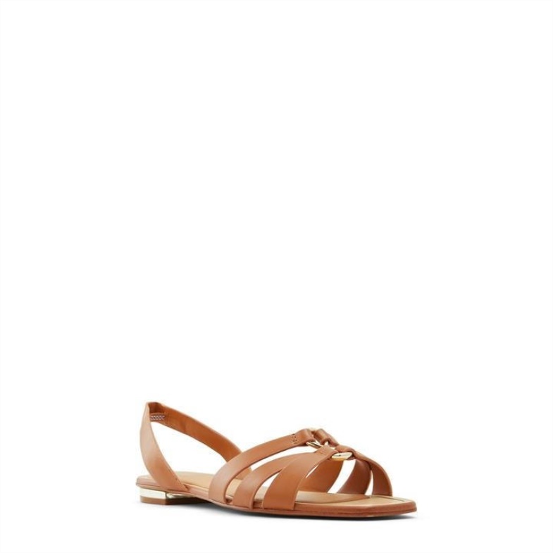 Fashion Aldo Brown Aldo Marassi Flat Sandals