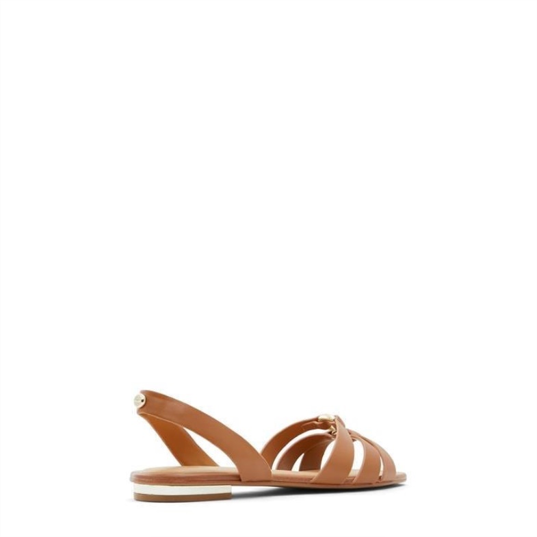 Fashion Aldo Brown Aldo Marassi Flat Sandals