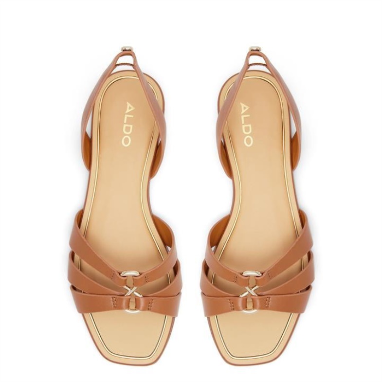 Fashion Aldo Brown Aldo Marassi Flat Sandals