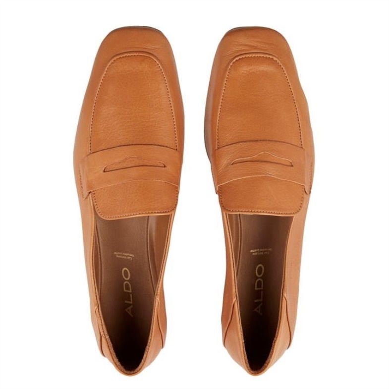 Fashion Med Brown Aldo Aldo Aldo Adelaide Ld24