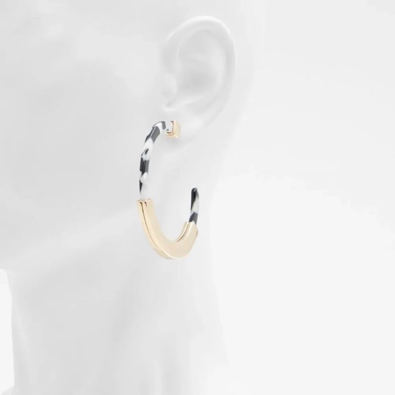 Fashion Aldo Giondra Women's Accessories Earrings