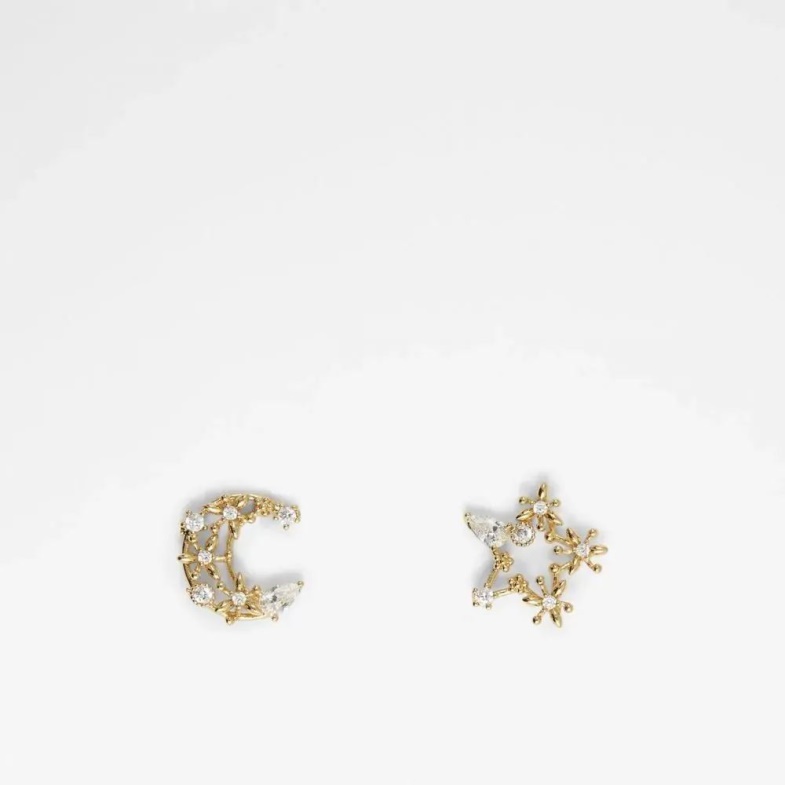 Aldo Fashion Paysa Women's Accessories Earrings