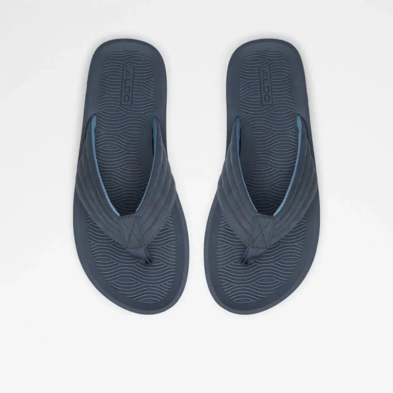 Aldo Proicien Men's Flat Thong Sandal Navy Fashion