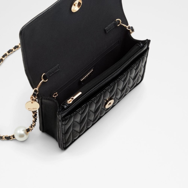 Fashion Aldo Ereadia Black