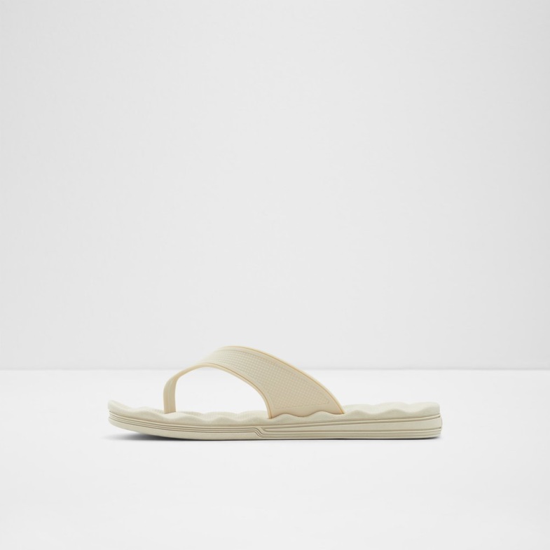 Aldo Fashion Haciendo