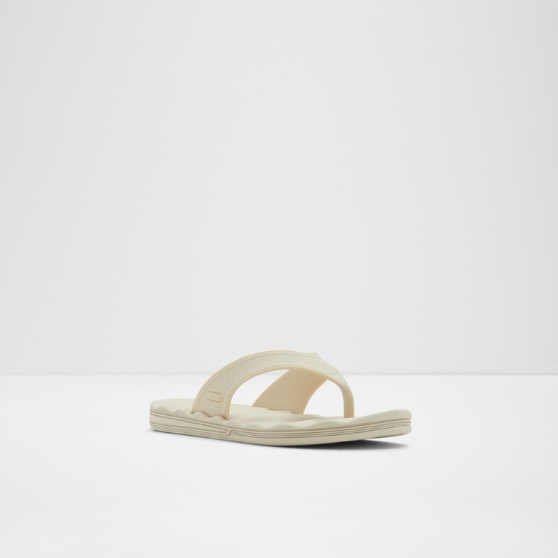 Aldo Fashion Haciendo