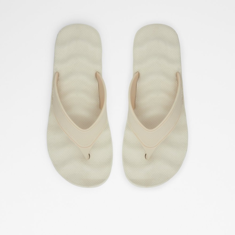 Aldo Fashion Haciendo