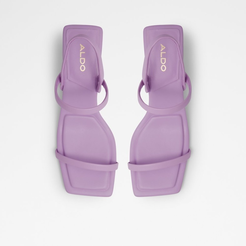 Lokurr Purple Aldo Fashion