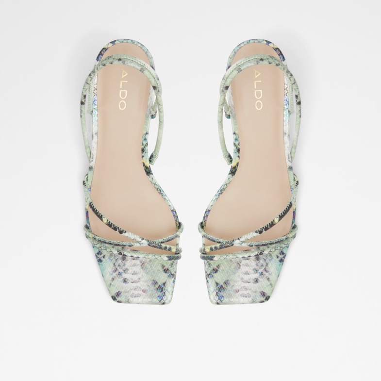 Black Pythonda Fashion Aldo