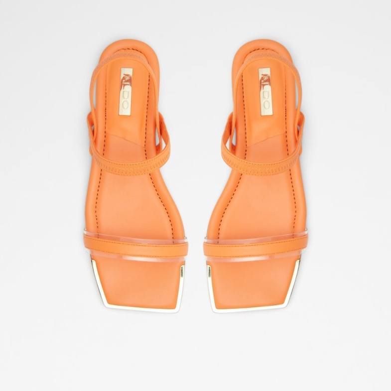 Aldo Fashion Black Wiciratha