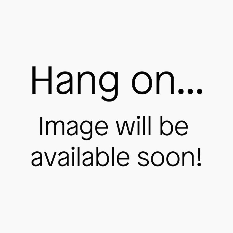 Aldo Fashion Yaegan Women's Accessories Phone Holder